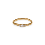 Women’s Delicate Fine Ring with Three Stones – Elegant Minimalist Design-Rings-Admires Jewellery-16-Gold-Admires Jewellery